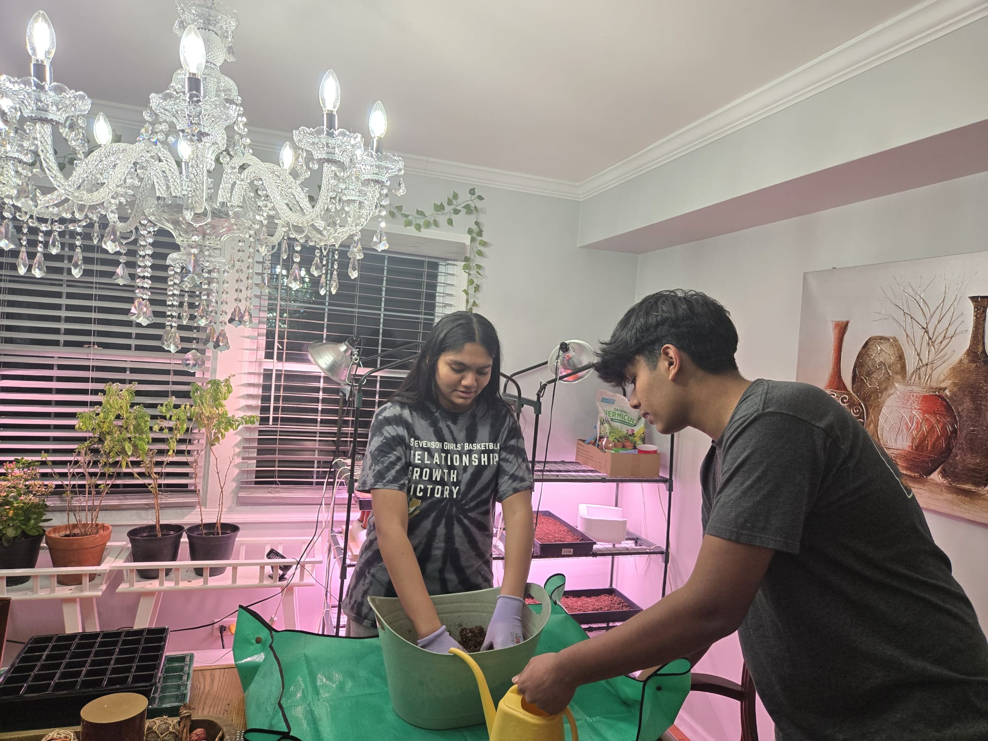 Mixing and watering soil under grow lights