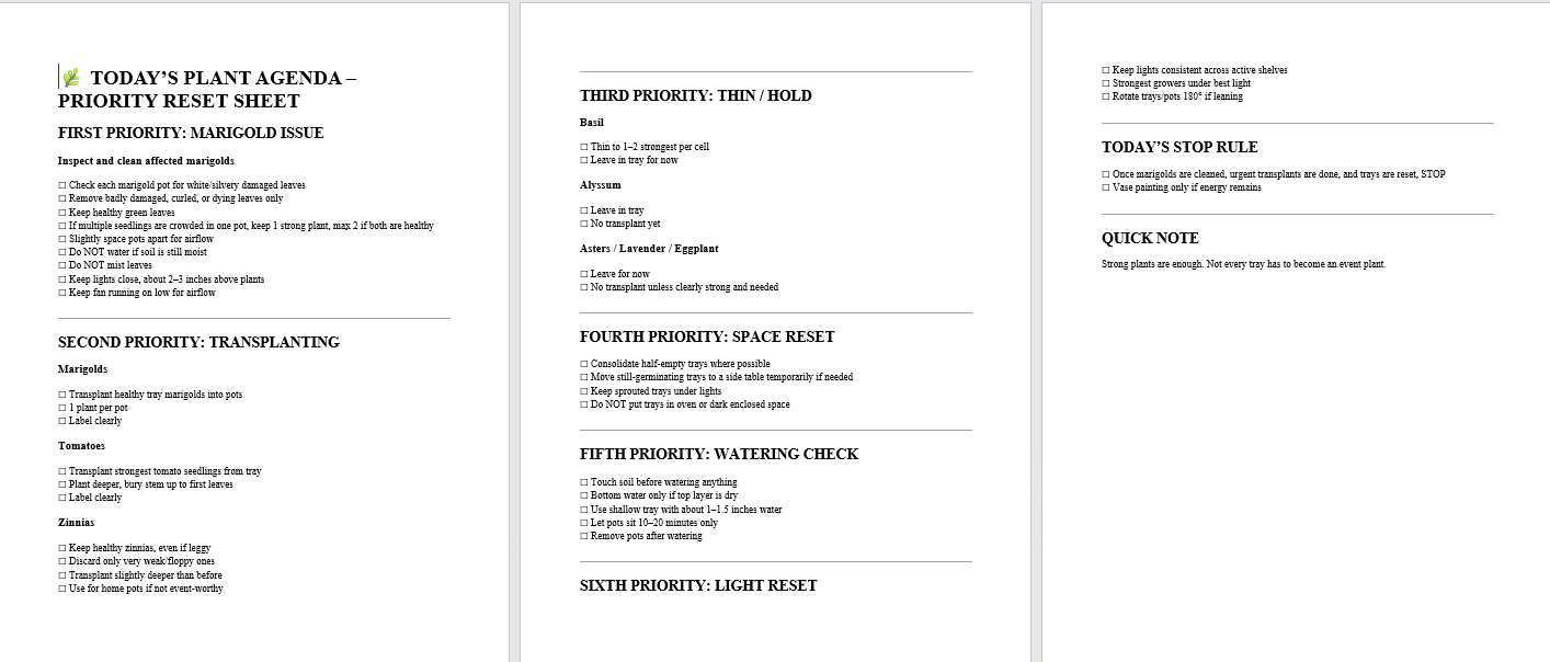 Today's Plant Agenda priority reset sheet covering marigold issue, transplanting, thinning, space, watering and light