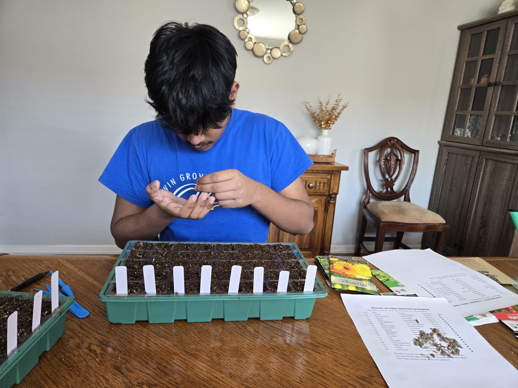 Sowing seeds into labeled cell tray