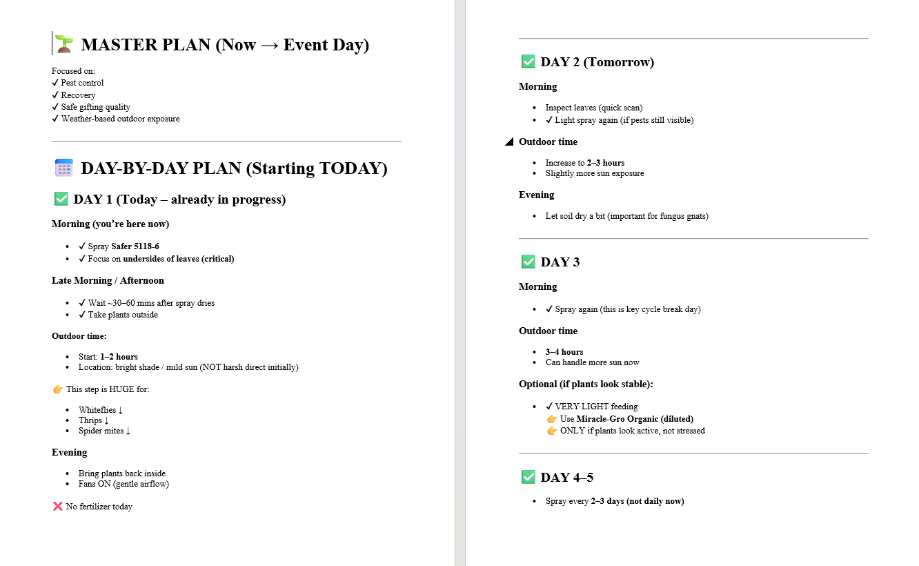 Master plan day-by-day schedule from now to event day covering pest control, recovery, and outdoor exposure