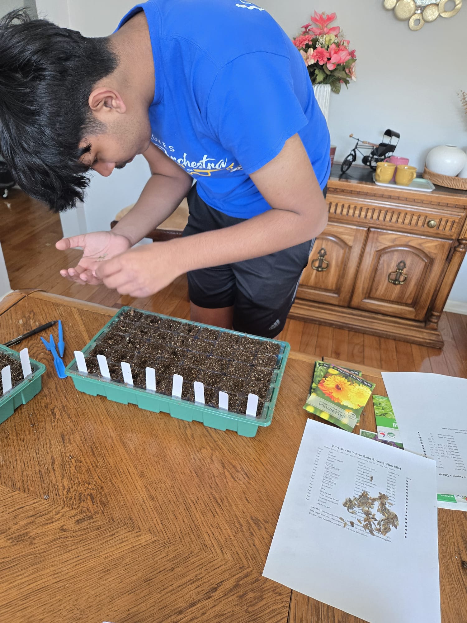 Carefully placing seeds into individual cells