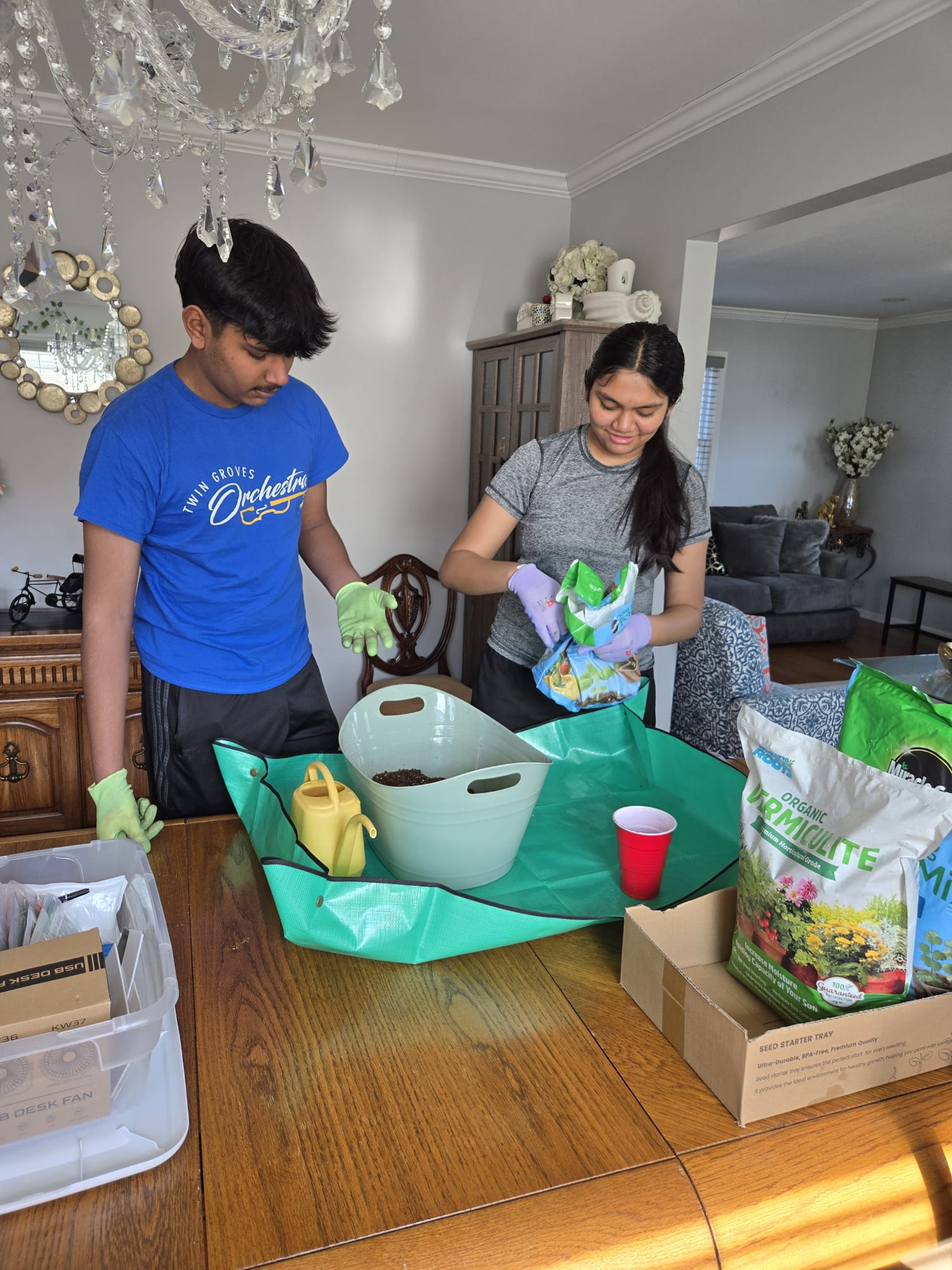 Soil preparation with vermiculite and seed-starting mix