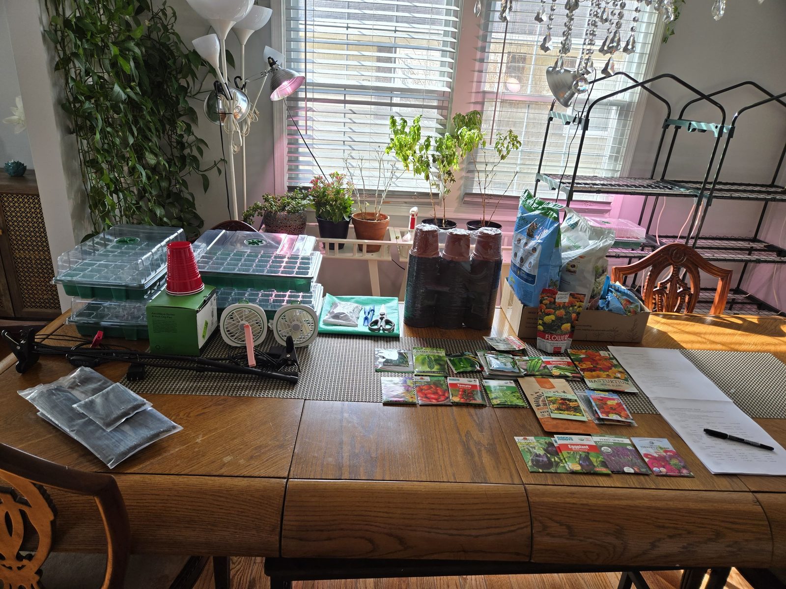 Planning table with seeds and supplies