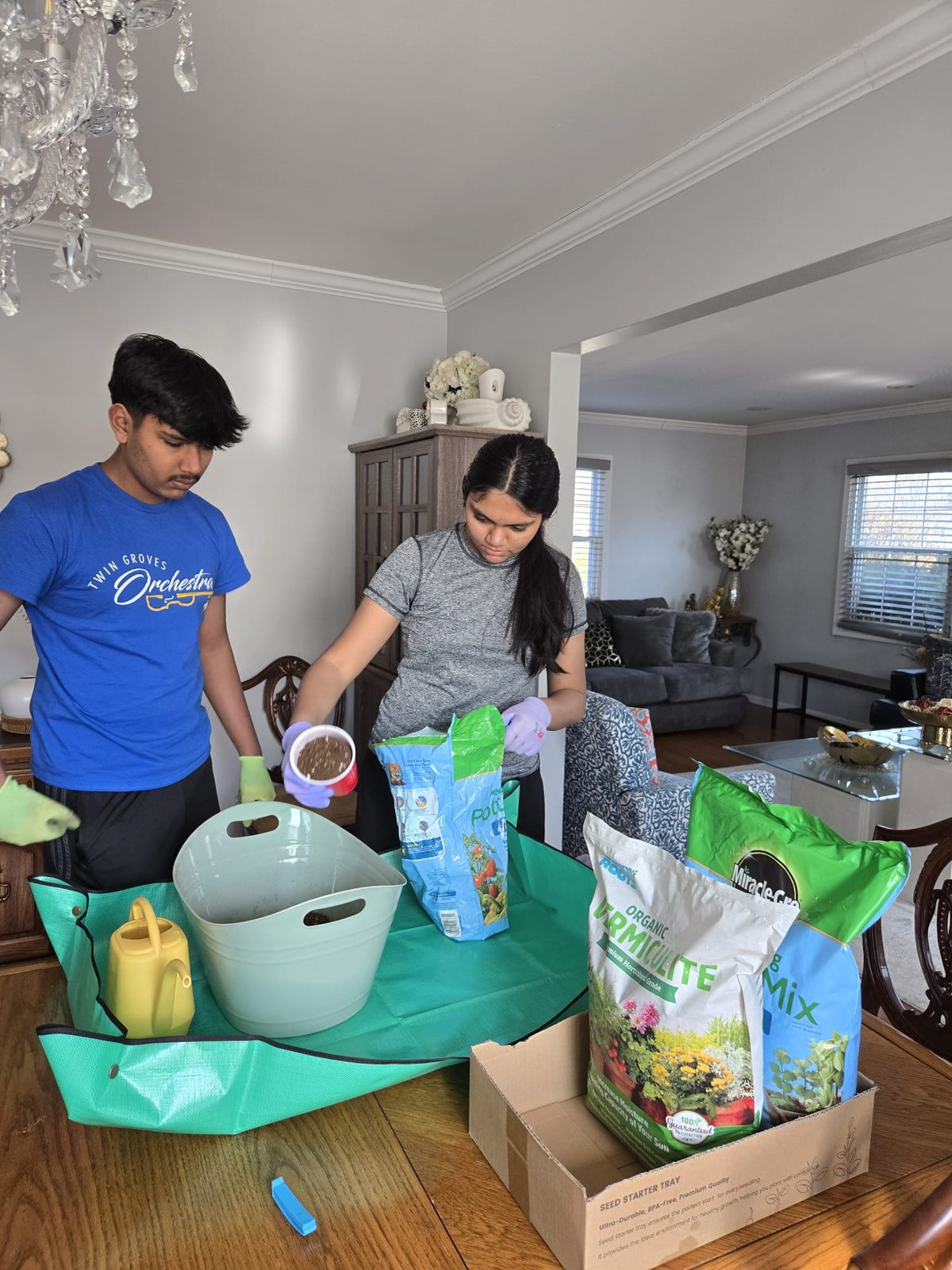 Selecting soil and supplies