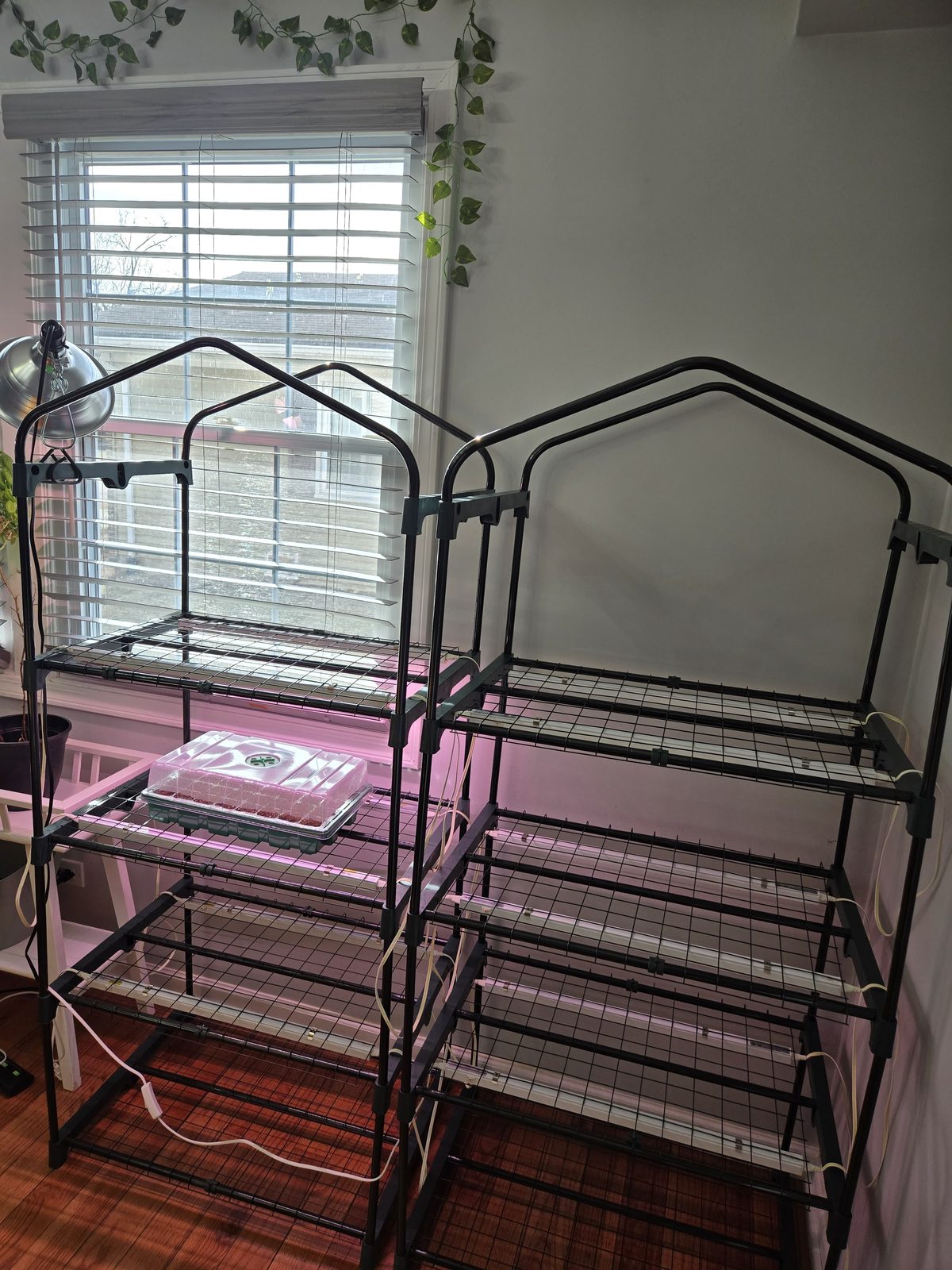 Empty grow rack ready