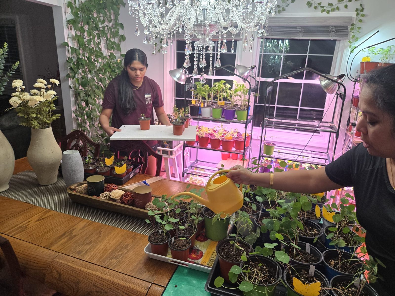 Watering the mature garden